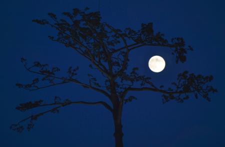 SAG2014090801002083_id1_20140908100534.jpgのサムネール画像