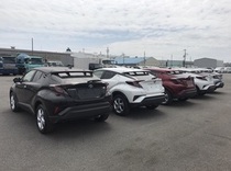 IMG_5549.JPGのサムネール画像