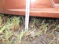 横DSCN8276s.jpgのサムネール画像